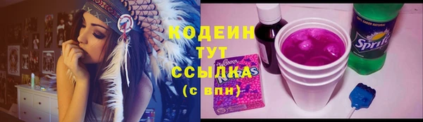 гидра Карпинск