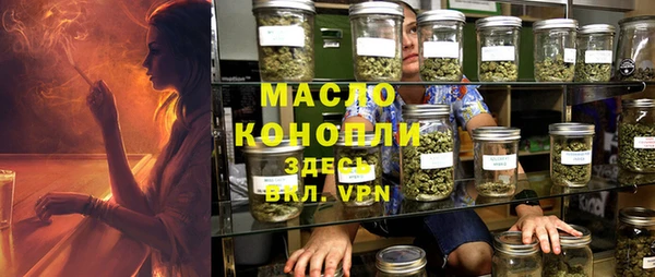 гидра Карпинск