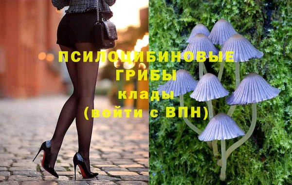 сатива Киреевск