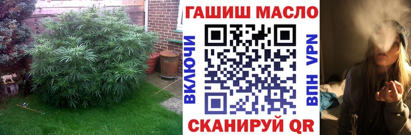 Дистиллят ТГК жижа  дарнет шоп  Касли 